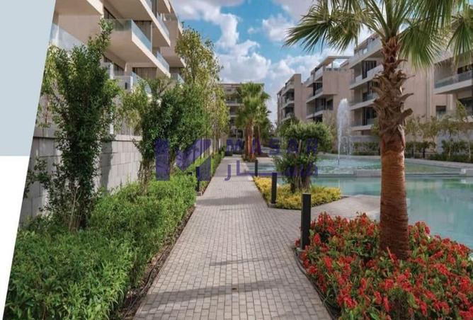 7909881 - Property Image 2