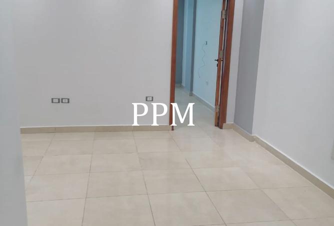 8466931 - Property Image 3