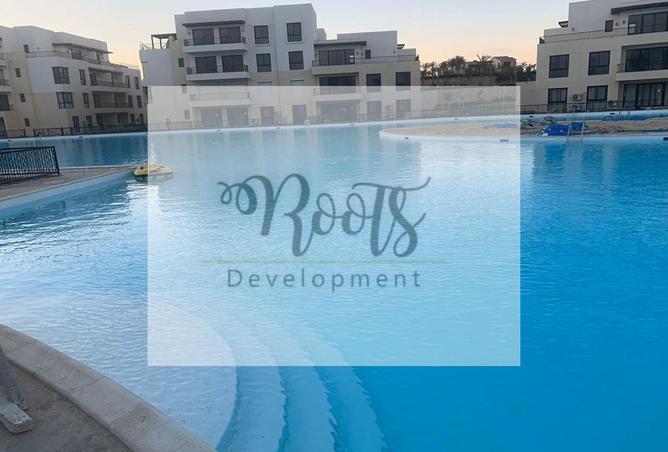 7915755 - Property Image 3