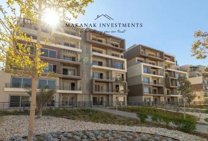 8442487 - Property Image 3