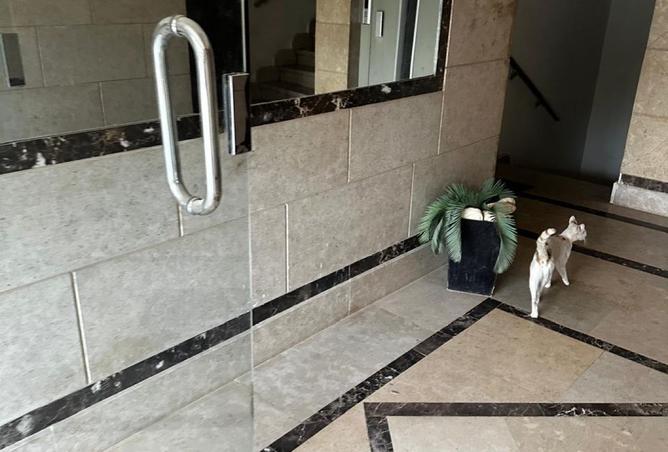 8087973 - صورة العقار 3