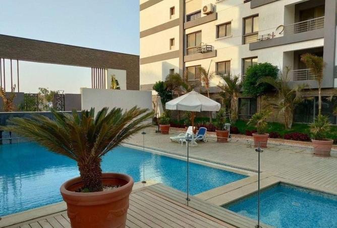 8242360 - Property Image 3