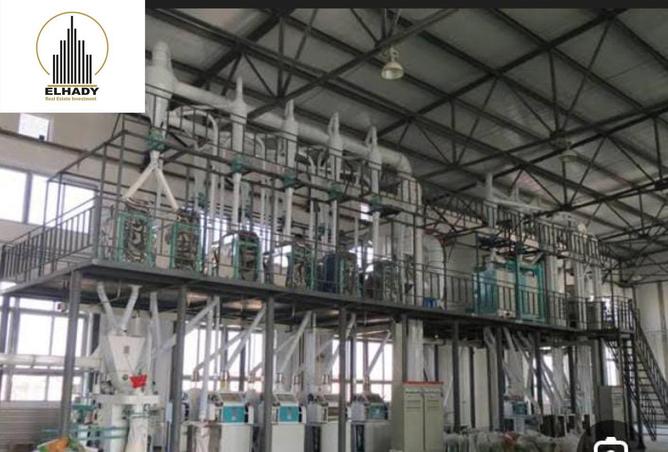 8334966 - Property Image 3