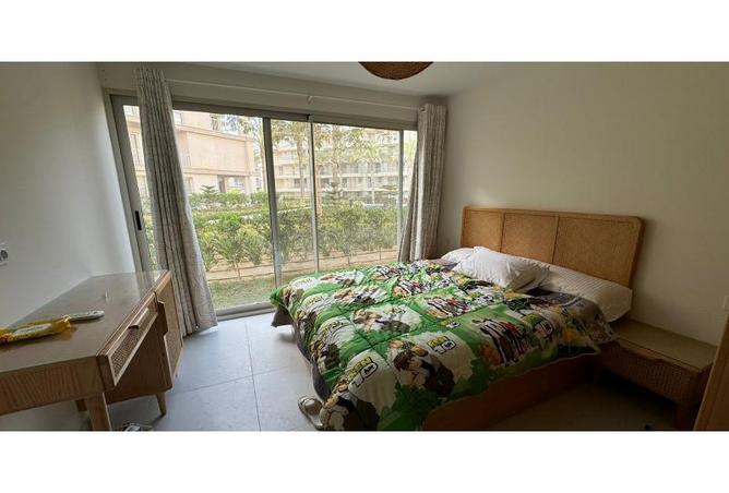 7913544 - Property Image 3