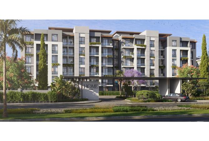 8116401 - Property Image 2