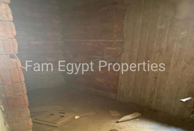 8113165 - Property Image 3