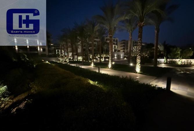 8462327 - Property Image 3