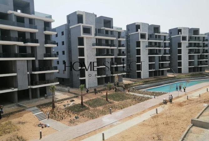 8461151 - Property Image 3