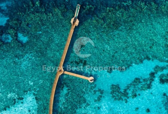 7890659 - Property Image 3