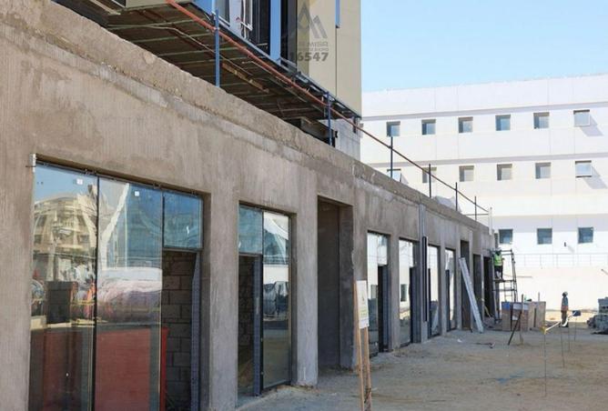 8560775 - Property Image 3