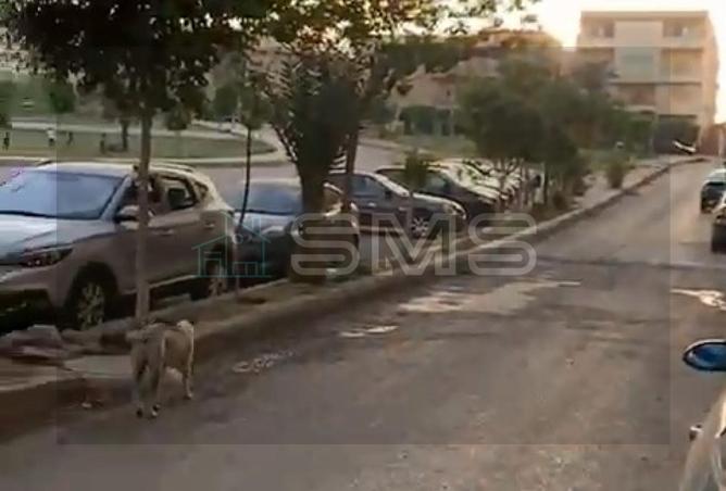 8072497 - صورة العقار 3