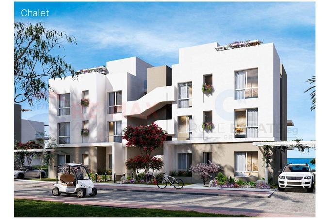 5381436 - Property Image 3