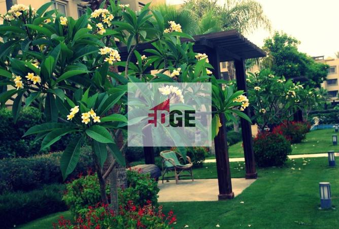 8504891 - Property Image 3