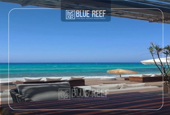 8420877 - Property Image 3