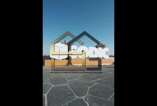 8303271 - صورة العقار 3