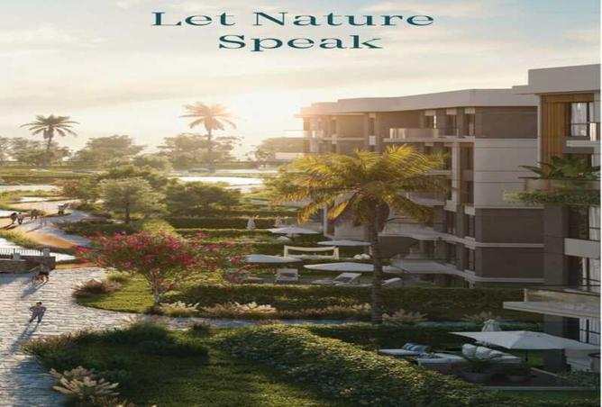 8224438 - Property Image 2