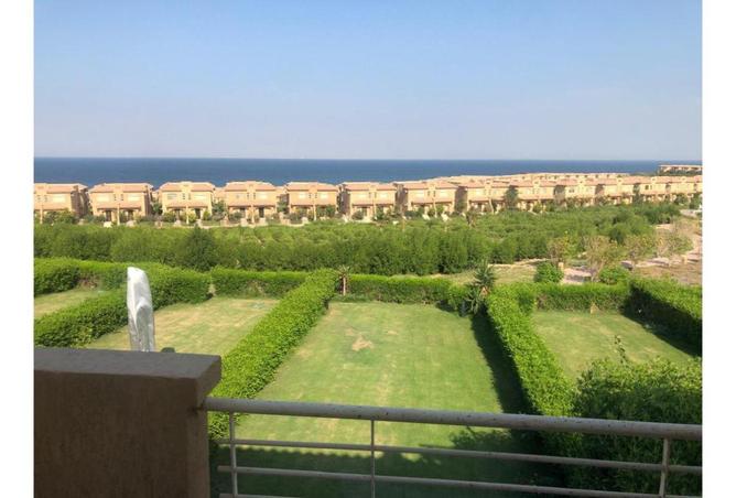 7923256 - Property Image 3