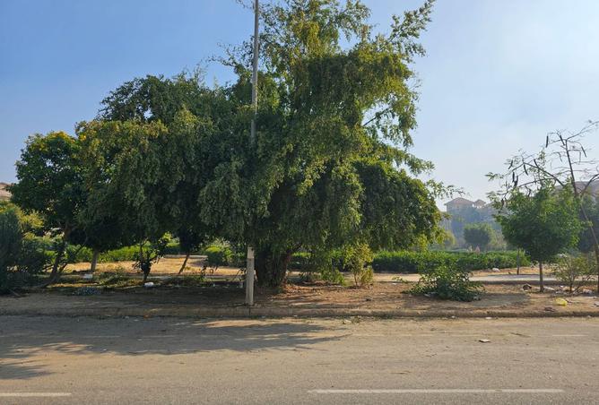 7932005 - صورة العقار 2
