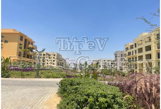 8332262 - Property Image 3