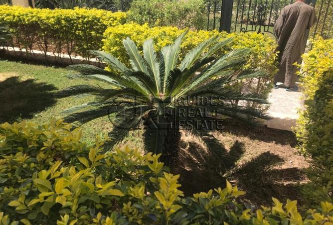 8105601 - صورة العقار 2