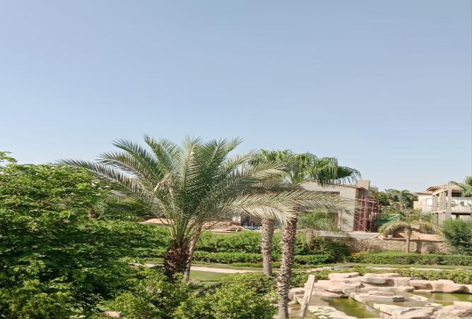 7975879 - Property Image 2