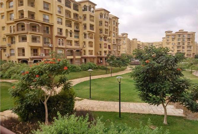8015919 - Property Image 2