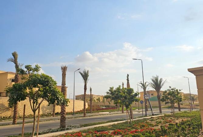 8529046 - Property Image 3