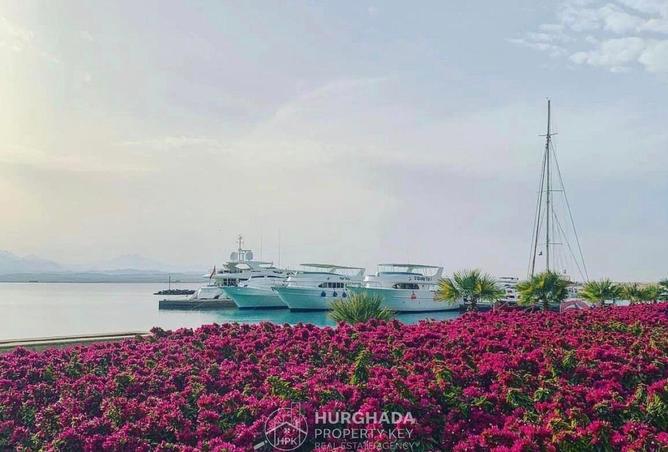 8500435 - Property Image 3