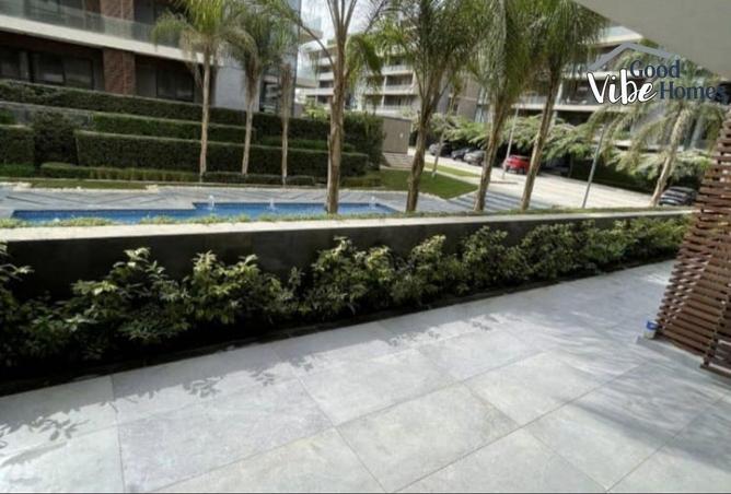 8238200 - Property Image 3