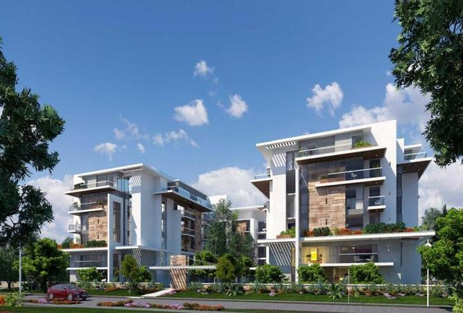 8052159 - Property Main Image