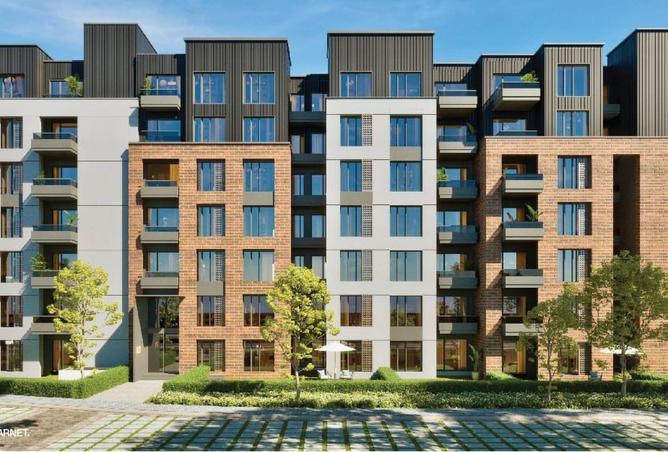 8137631 - Property Image 3