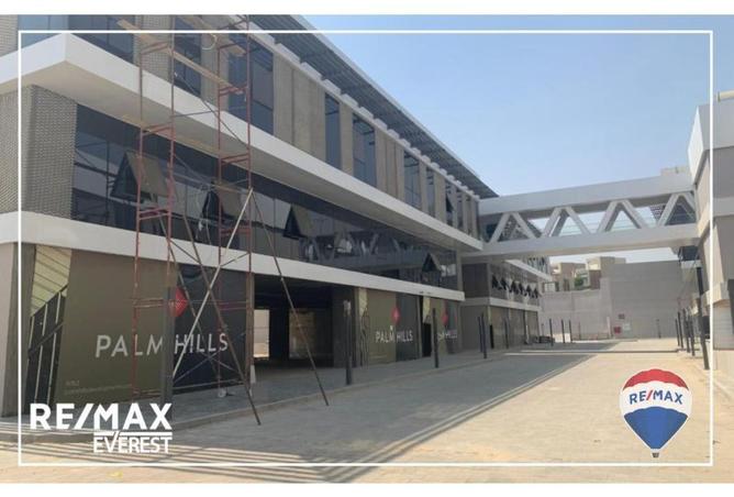 8449193 - Property Image 3