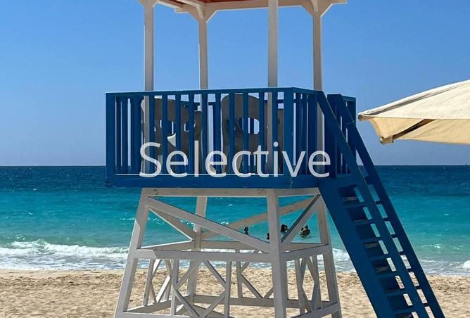 7954261 - صورة العقار 2