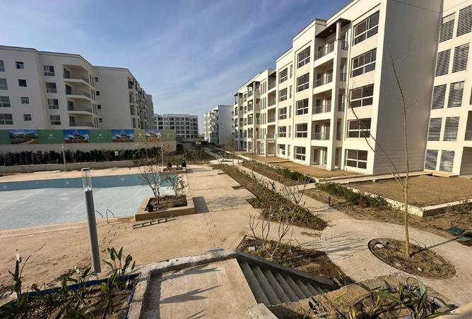 8446536 - Property Image 3