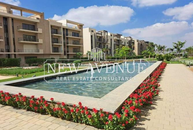 8453410 - Property Image 3