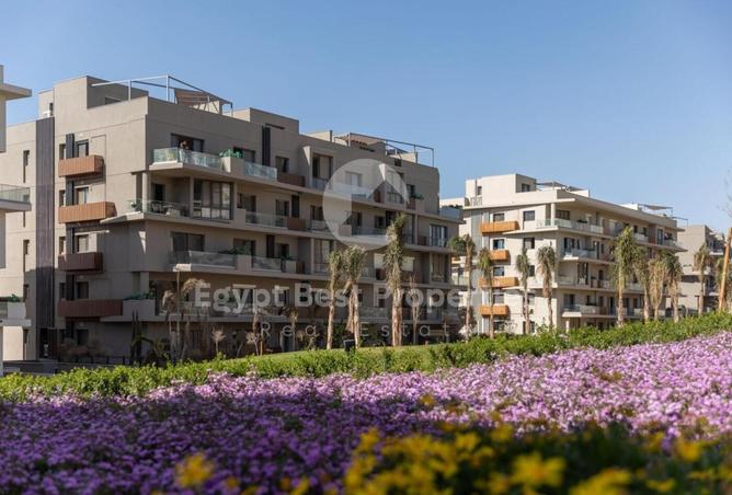 7982143 - Property Image 2