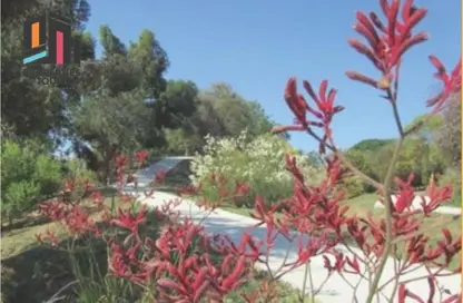 Apartment - 3 Bedrooms - 3 Bathrooms for rent in Palm Hills New Cairo - 5th Settlement Compounds - The 5th Settlement - New Cairo City - Cairo Apartment - 3 Bedrooms - 3 Bathrooms for rent in Palm Hills New Cairo - 5th Settlement Compounds - The 5th Settlement - New Cairo City - Cairo