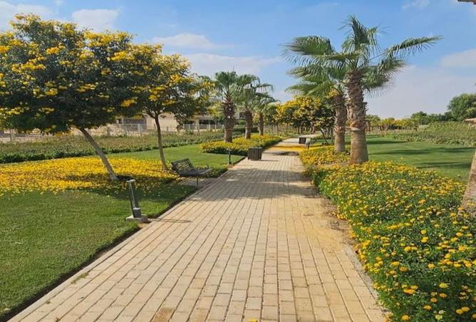 8399478 - Property Image 3