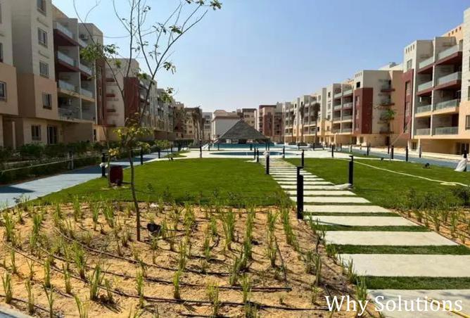 8099858 - Property Image 2