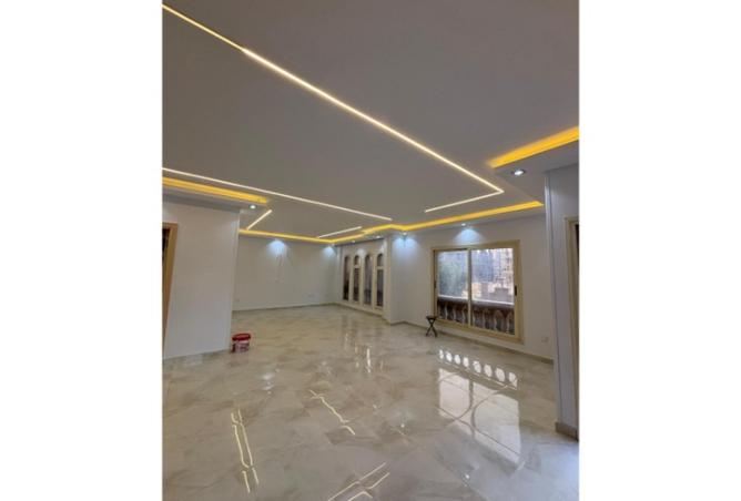 8135684 - Property Image 3