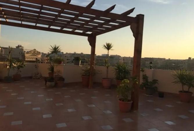 8298380 - Property Image 3