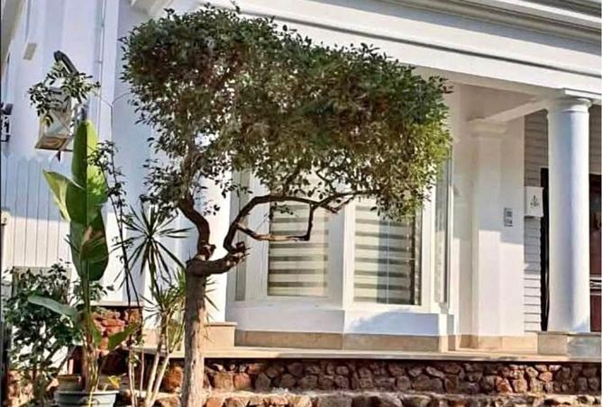 8181280 - Property Image 3