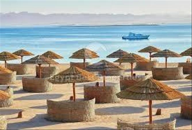 7992940 - صورة العقار 3