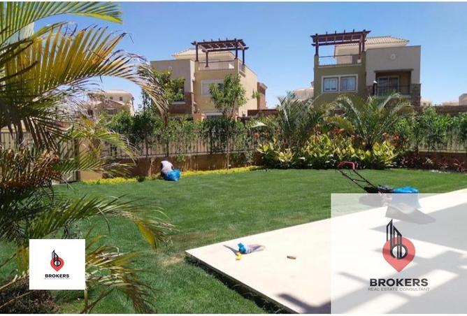 8176142 - صورة العقار 2