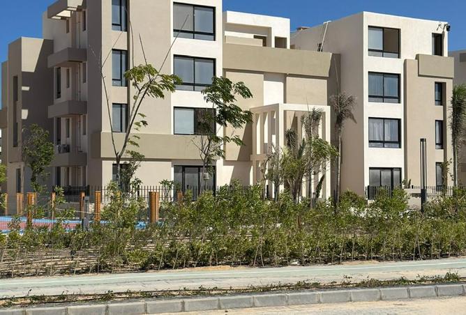 8215830 - Property Image 3