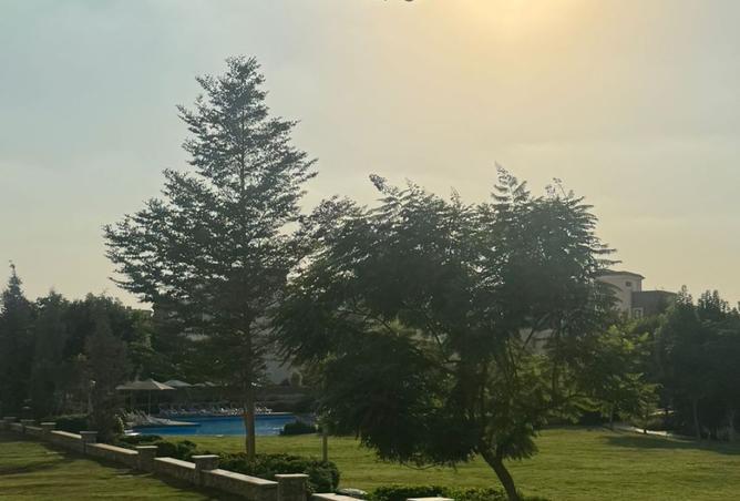 7947397 - صورة العقار 3