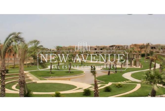 8251433 - Property Image 3