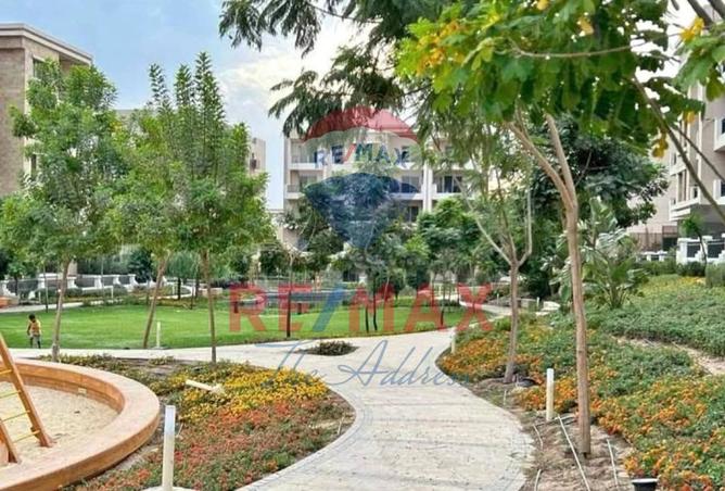 7956425 - صورة العقار 3