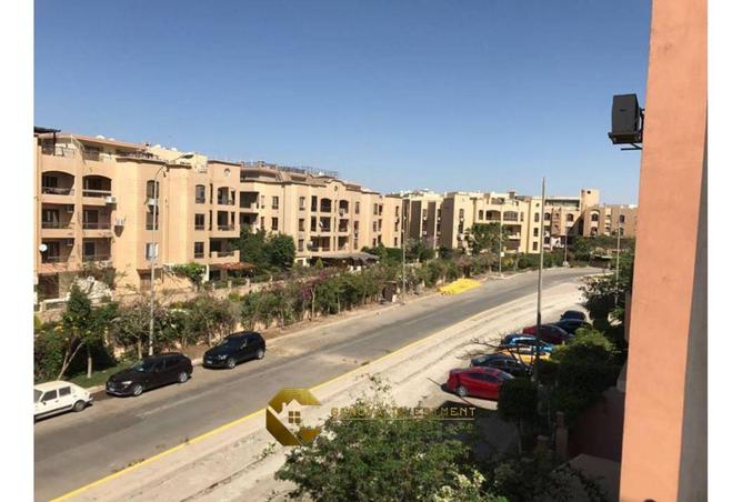 8084505 - Property Image 3