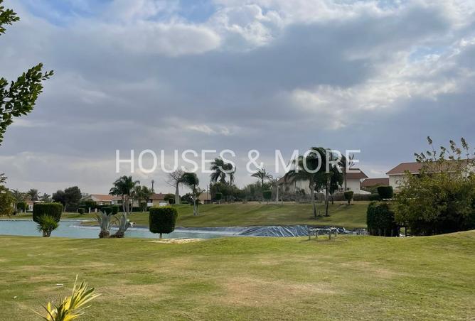 7927445 - صورة العقار 3